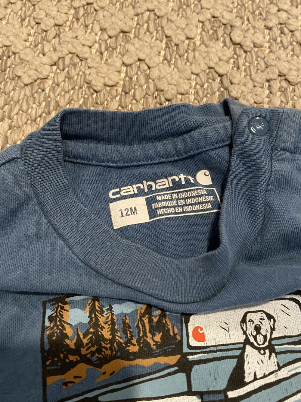 Carhartt Baby Bodysuit with Dog In A Truck Graphic